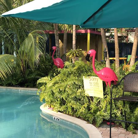 Calypso Inn Wilton Gay Male Resort Wilton Manors Exterior photo