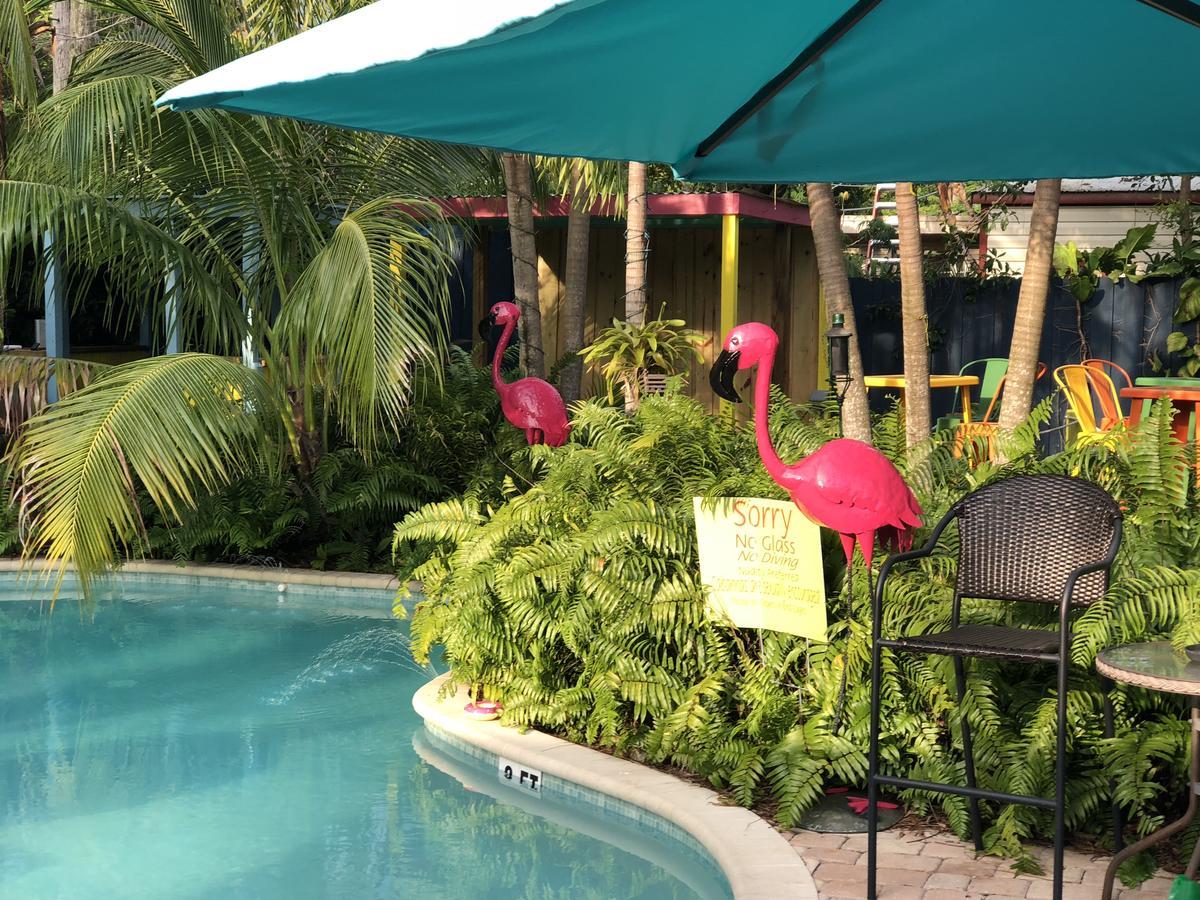 Calypso Inn Wilton Gay Male Resort Wilton Manors Exterior photo