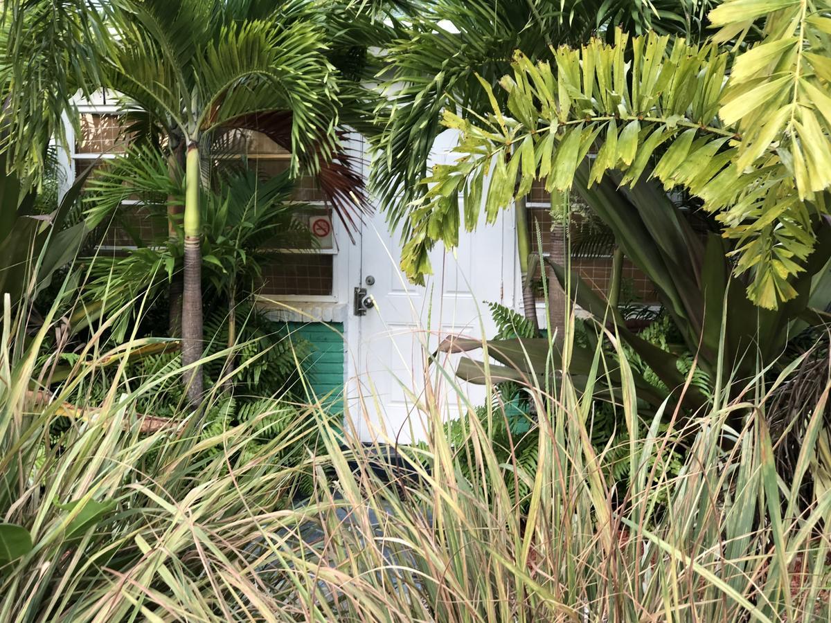 Calypso Inn Wilton Gay Male Resort Wilton Manors Exterior photo