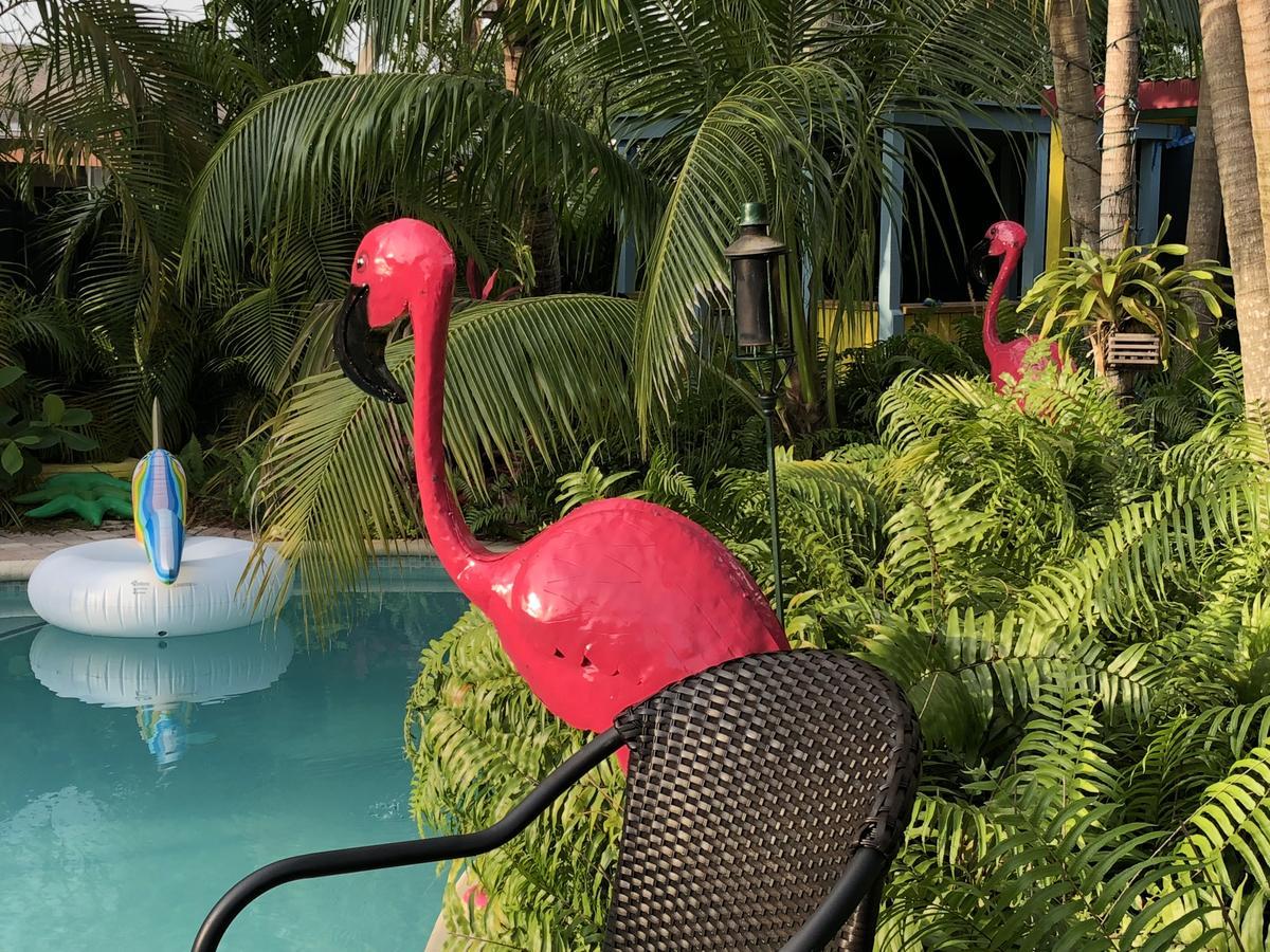 Calypso Inn Wilton Gay Male Resort Wilton Manors Exterior photo